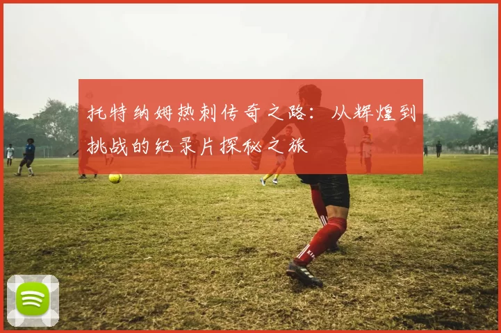 托特纳姆热刺传奇之路：从辉煌到挑战的纪录片探秘之旅