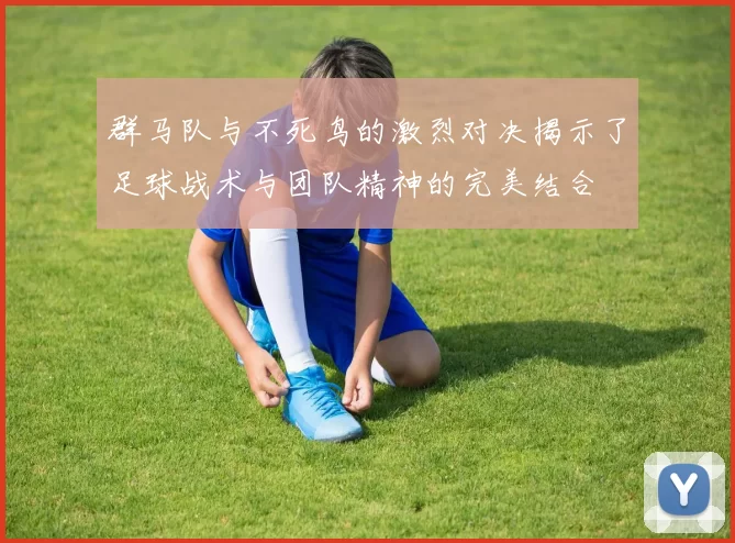 群马队与不死鸟的激烈对决揭示了足球战术与团队精神的完美结合